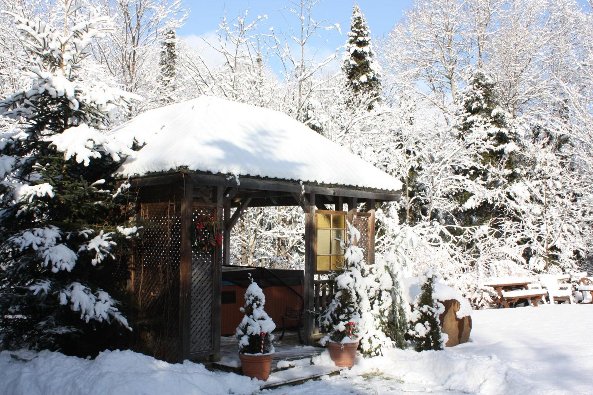 Chalets Et Studios Le Vent Du Nord Лак-Сюперьёр Экстерьер фото